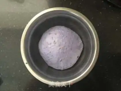 Make Butterbean seed step 4