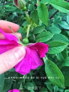 Make Rose tea step 0