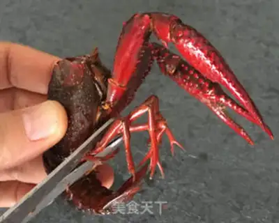 Make Shrimp step 5