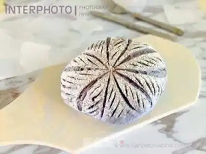 Make Butterbean seed step 12