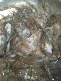 Make Drunk shrimp step 0