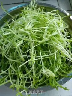 Make Garlic pine buds step 0