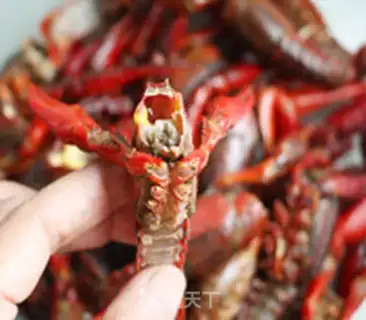 Make Garlic butter roasted lobster step 0
