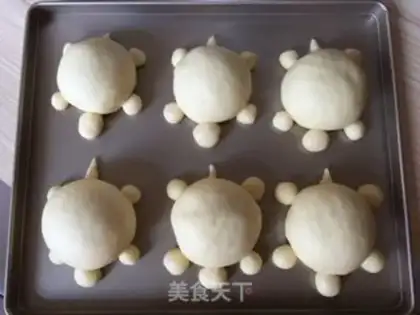 Make The turtle in the rabbit race step 10