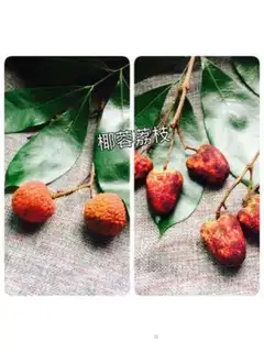 Make Coconut step 24