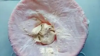 Make Cat claw marshmallows step 14