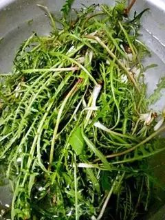 Make Homemade botanical tea dry step 0