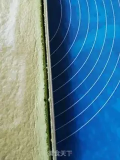 Make Cake roll step 11