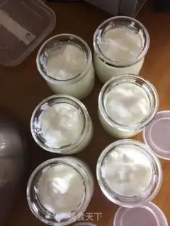 Make Old yogurt step 10