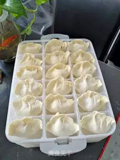 Make Fresh dumplings step 5