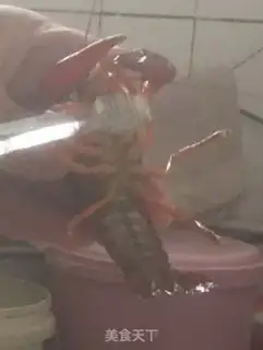 Make Spicy lobster step 1