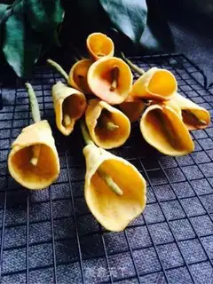 Make A carrot and a hoof step 12