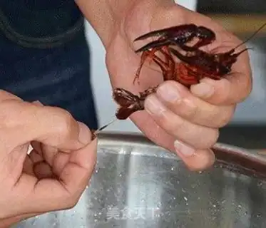Make Five-seven-season oiled lobster step 2