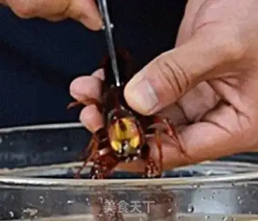 Make Five-seven-season oiled lobster step 3