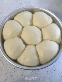 Make Yogurt bread step 6