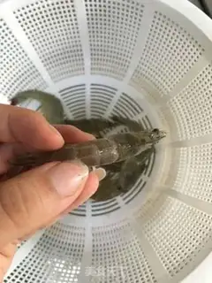 Make Shrimp step 1