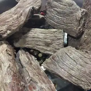 Make Scorch beef step 1