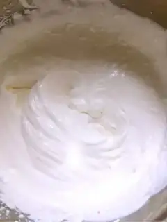 Make Mango Moose step 20