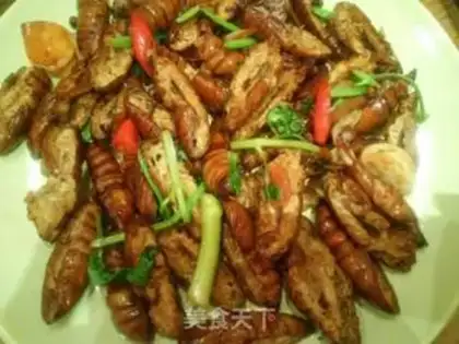 Make Dry ricin step 3