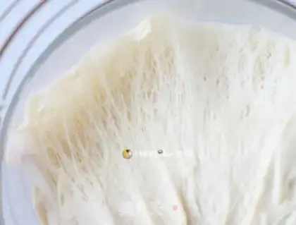 Make Milk toast step 3