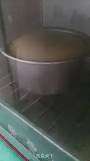 Make Yogurt mousse cake step 10