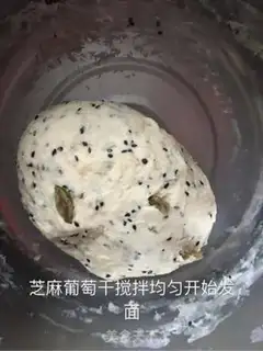 Make Black sesame grape dry toast step 3