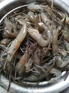 Make Shrimp step 0