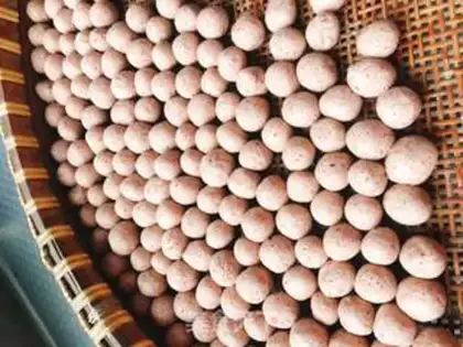 Make Sorghum step 3