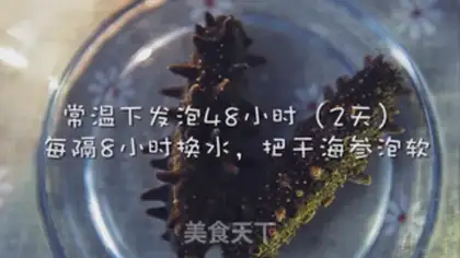 Make The sea cucumber step 0
