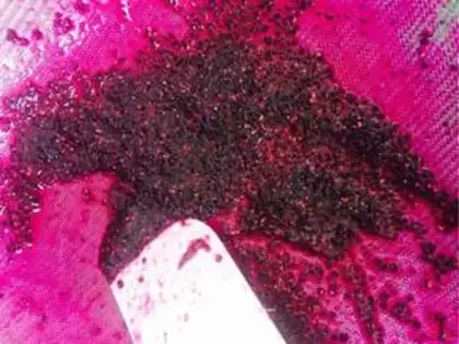 Make Flamingo broccoli step 2