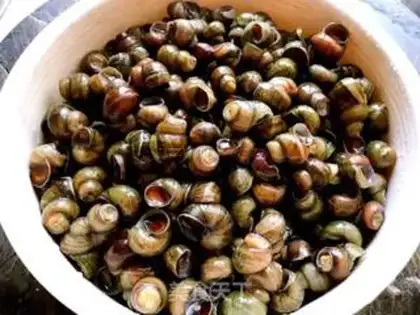 Make Snails step 1