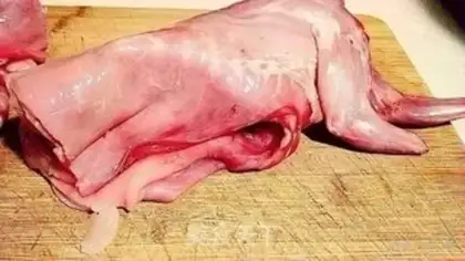 Make Dust rabbit step 0