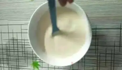 Make Porpoise and eggs step 1