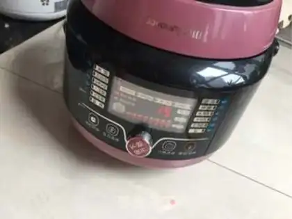 Make Chicken step 14