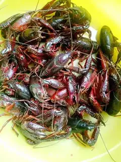 Make Spicy Flying Lobster step 0