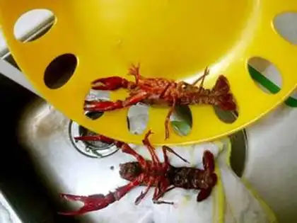 Make Spicy Flying Lobster step 1