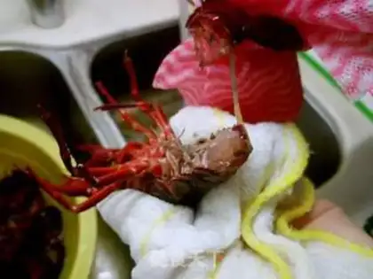 Make Spicy Flying Lobster step 3