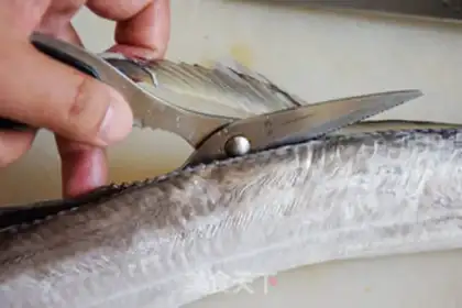 Make Vacuate fish step 1