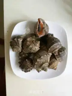 Make Soy sauce and conch step 2