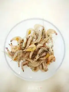 Make Shrimp step 0