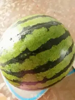 Make Sliced watermelon step 0