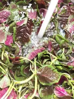 Make The pink bouquet step 1
