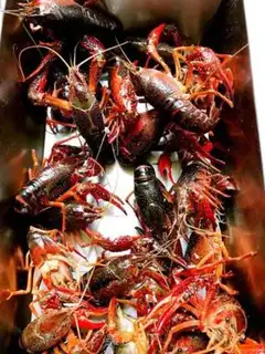 Make Night beer spicy lobster step 0