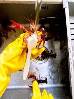 Make Night beer spicy lobster step 1