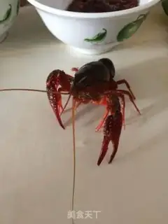Make Home spicy lobster step 0