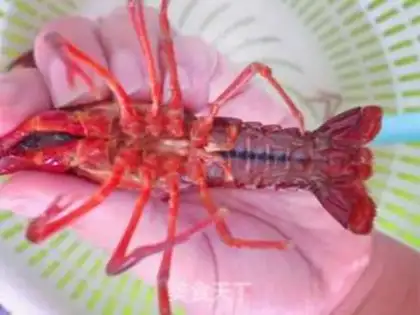 Make Home spicy lobster step 1