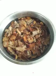 Make Chicken stew mushrooms step 1