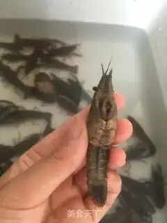 Make Spicy lobster step 3