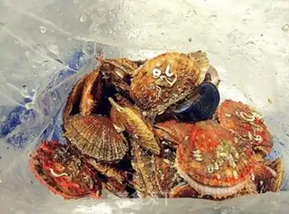 Make Toad scallop soup step 1