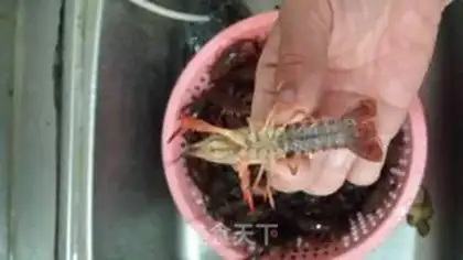 Make Spicy lobster step 1